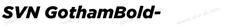 SVN GothamBold字体转换